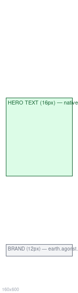 160×600 wireframe — Skyscraper